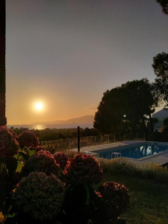Corsicadream Arone Superbe Appartement Dans Villa, Vue Panoramique Mer, Piscine, Proche Porticcio Pietrosella Esterno foto